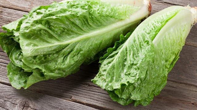 Romaine Hearts.